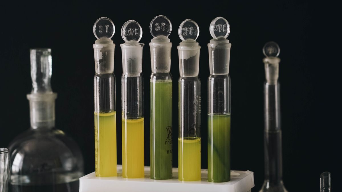 Sample test tubes in a lab